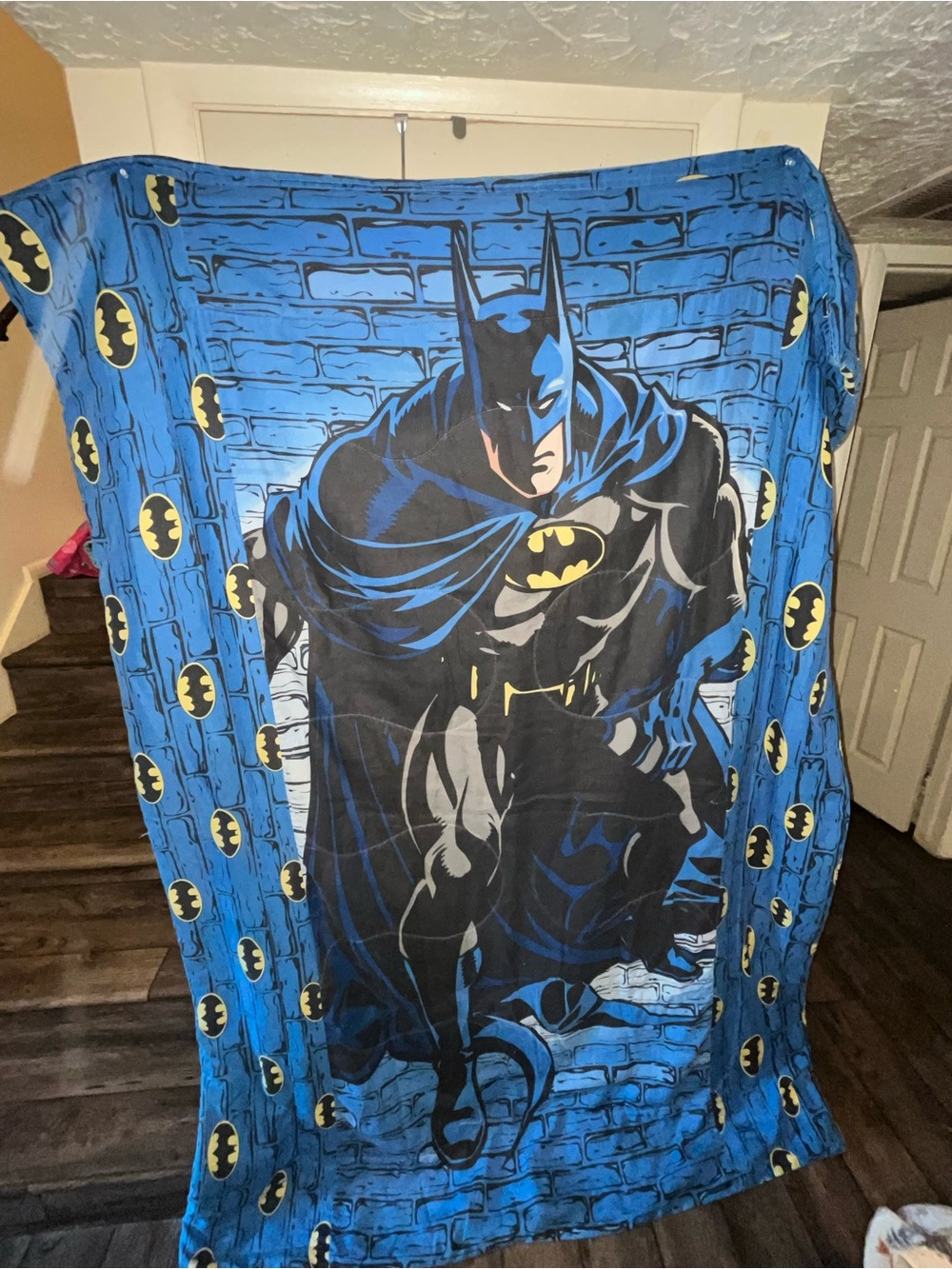 Vintage Batman comforter 2005